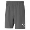 PUMA - TEAMRISE SHORT JUNIOR