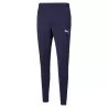 PUMA - Pantalon d'entrainement Team RISE