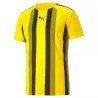 PUMA - MAILLOT TEAM LIGA STRIPED JERSEY