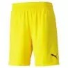 PUMA - TEAM FINAL SHORTS