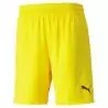 PUMA - TEAM FINAL SHORTS