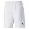 PUMA - TEAM FINAL SHORTS