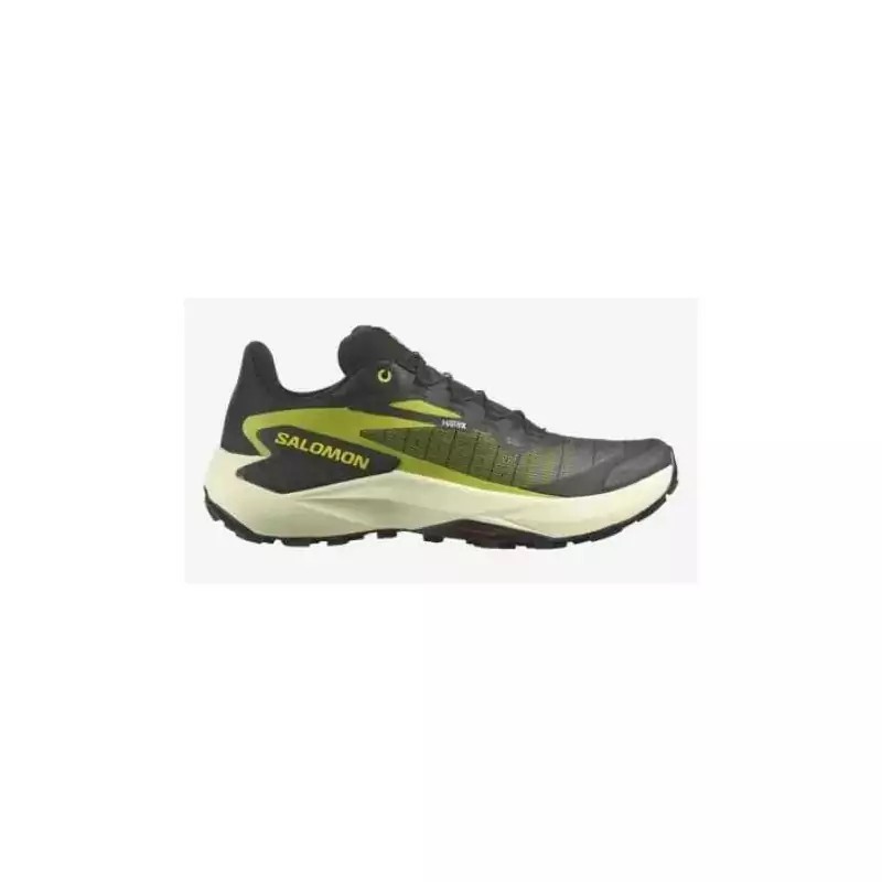 SALOMON - GENESIS SALOMON - 1 SALOMON - GENESIS SALOMON - 1