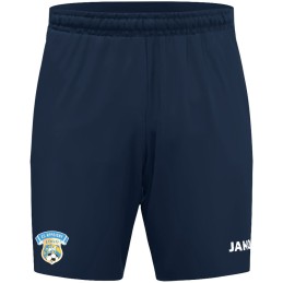 8570 SHORT ENTRAINEMENT DYNAMIC APPOIGNY 