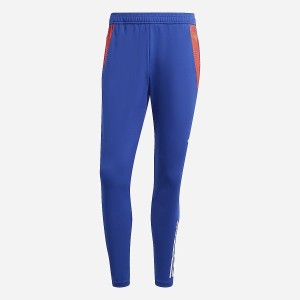 FEF PANTALON PRESENTATION ADIDAS SAISON 2024-2025 S