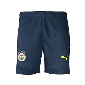 FSK SHORT ENTRAINEMENT PUMA SAISON 2024-2025 M
