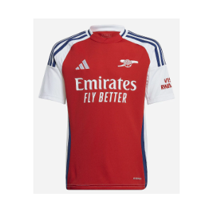 AFC MAILLOT DOMICILE JUNIOR ADIDAS SAISON 2024-2025 9/10 ANS